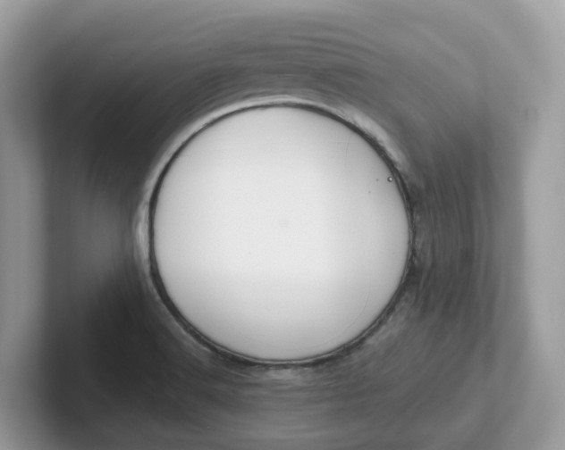 X0000101411516200807211044