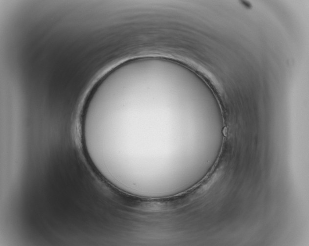 X0000101411517200807211044