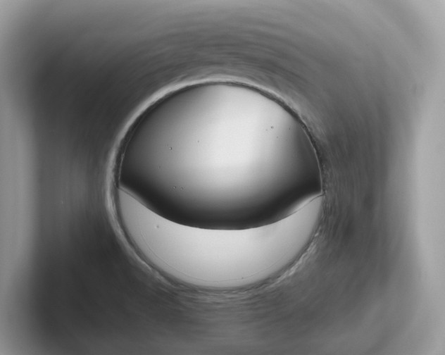 X0000101411518200807211044