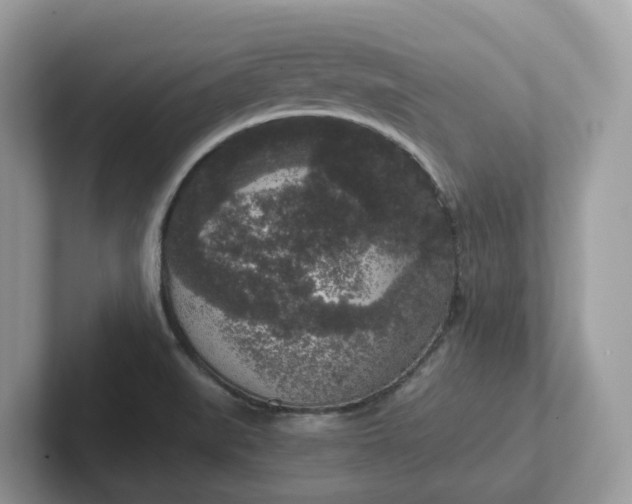 X0000101411519200807211044