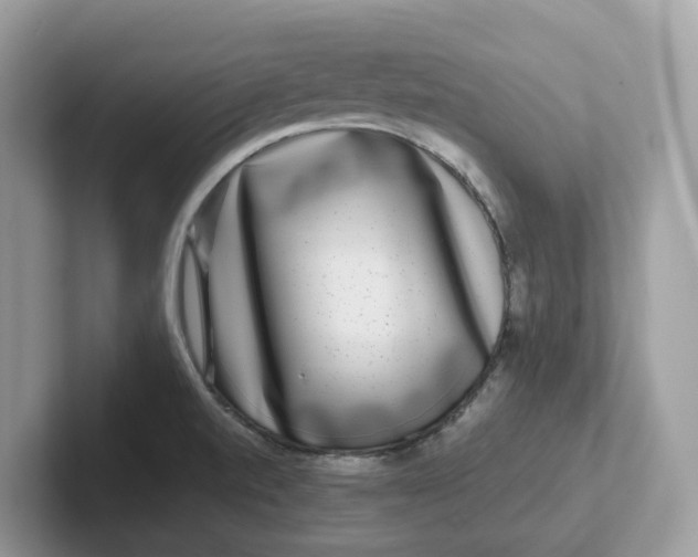 X0000101411520200807211044