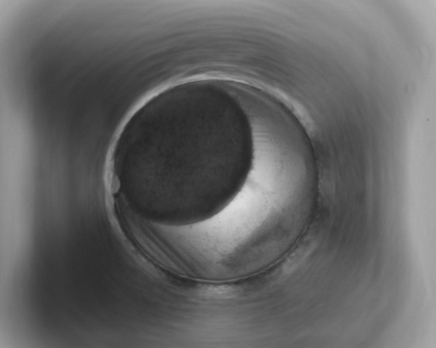X0000101411522200807211044