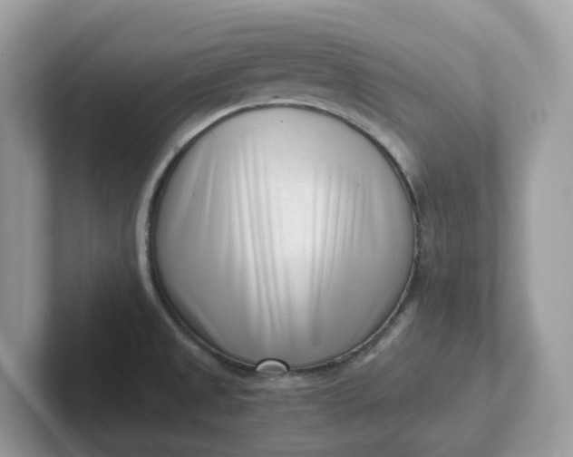 X0000101411525200807211044