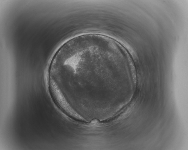 X0000101411527200807211044