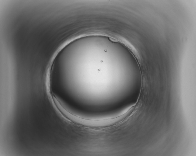 X0000101411528200807211044