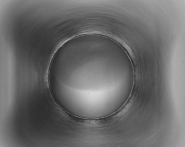 X0000101411529200807211044