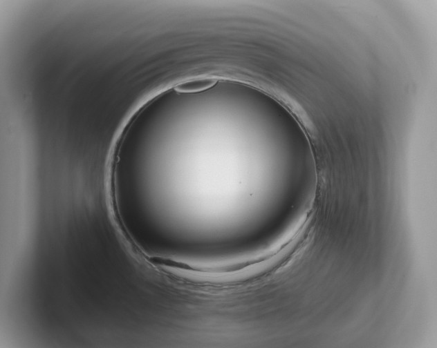 X0000101411530200807211044