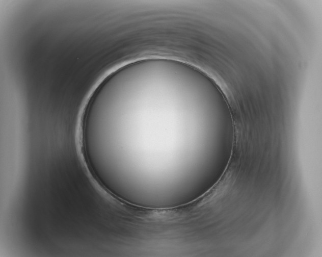 X0000101411531200807211045