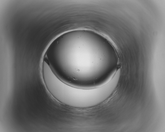 X0000101411532200807211045