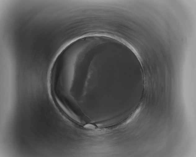 X0000101411533200807211045
