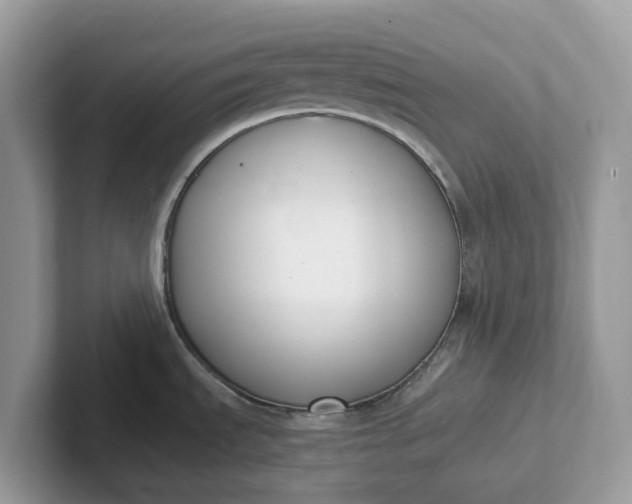 X0000101411535200807211045