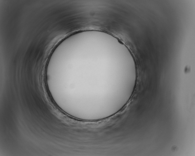 X0000101410001200807281036