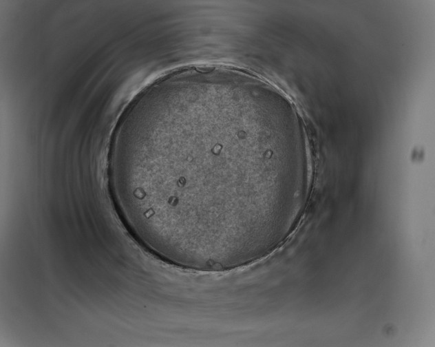 X0000101410002200807281036