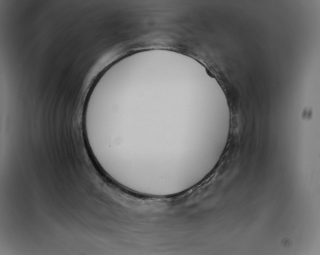 X0000101410004200807281036