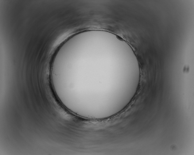 X0000101410005200807281036