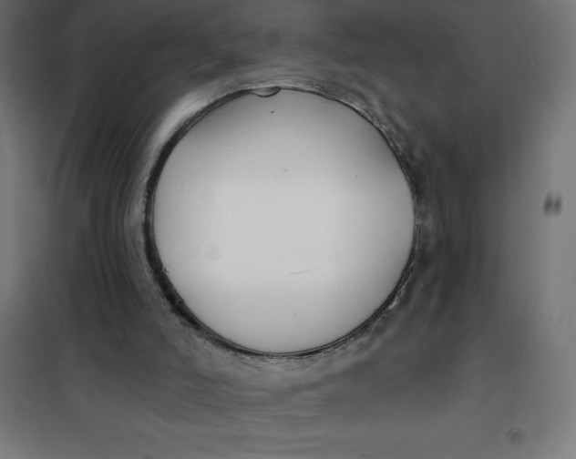 X0000101410006200807281036