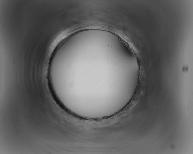 X0000101410007200807281036