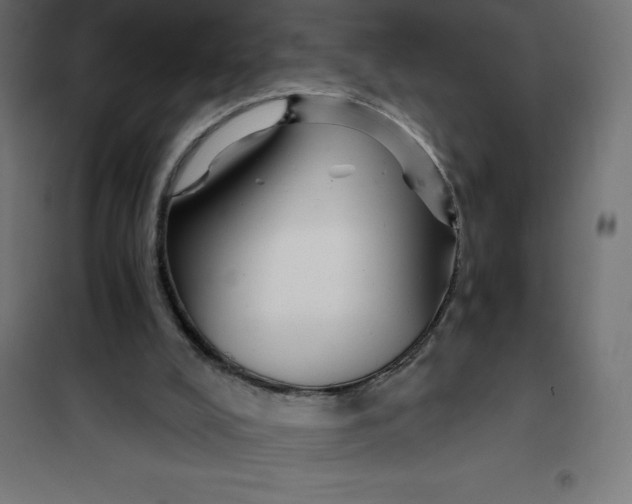 X0000101410008200807281036