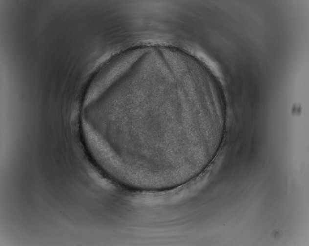 X0000101410009200807281036