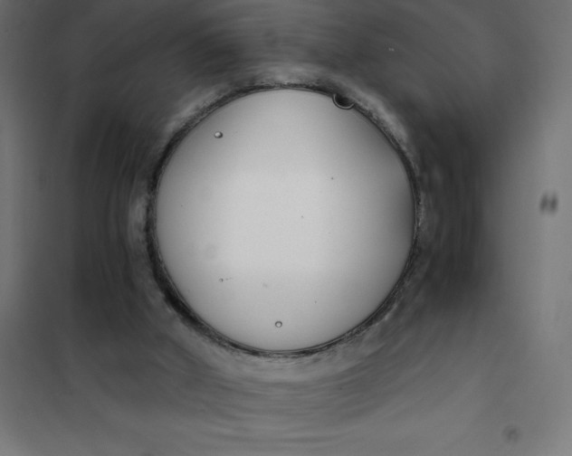 X0000101410010200807281036