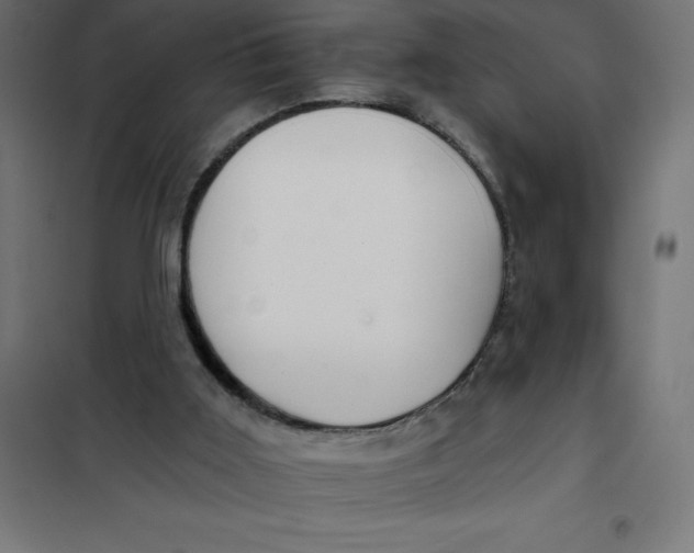X0000101410011200807281036