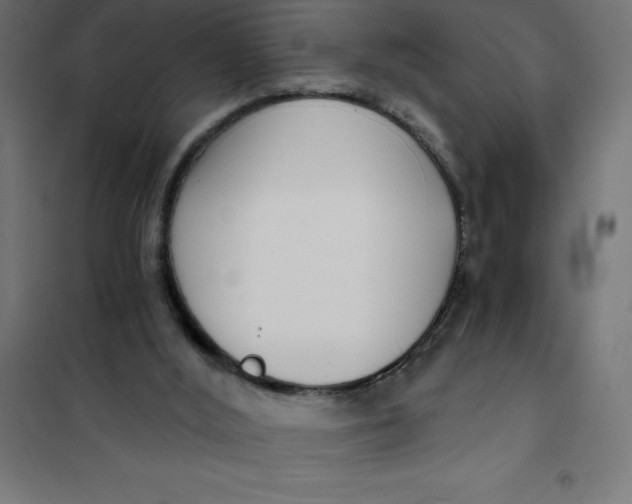 X0000101410012200807281036