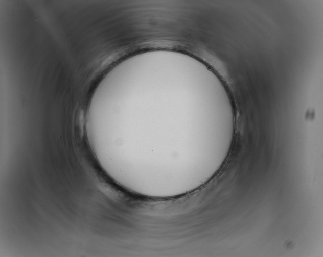 X0000101410013200807281036