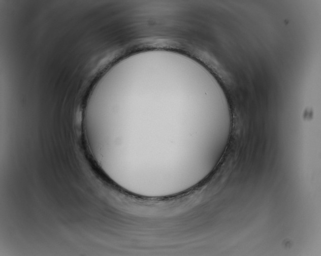 X0000101410014200807281036