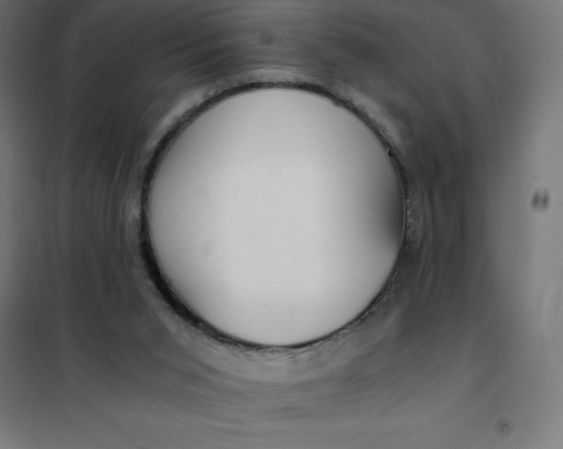 X0000101410015200807281036