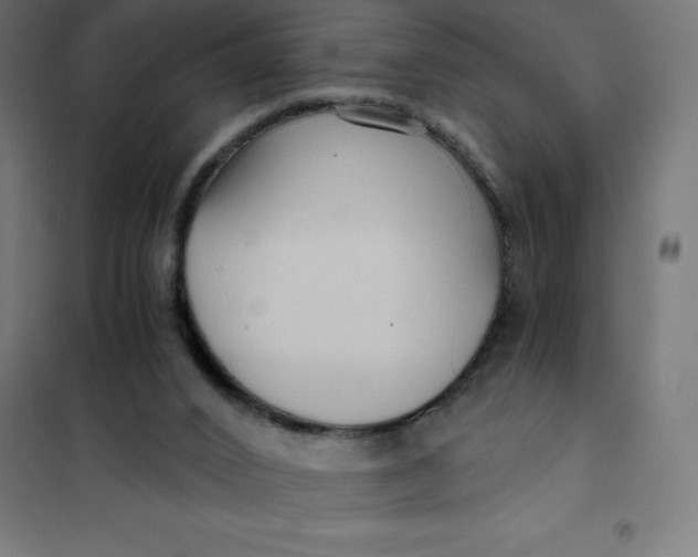 X0000101410016200807281036