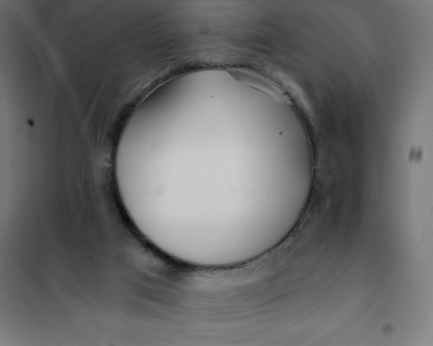 X0000101410017200807281036