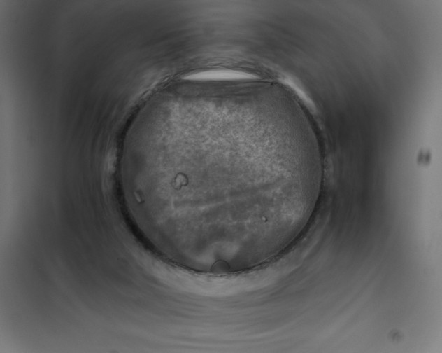 X0000101410018200807281036