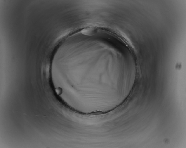 X0000101410019200807281036