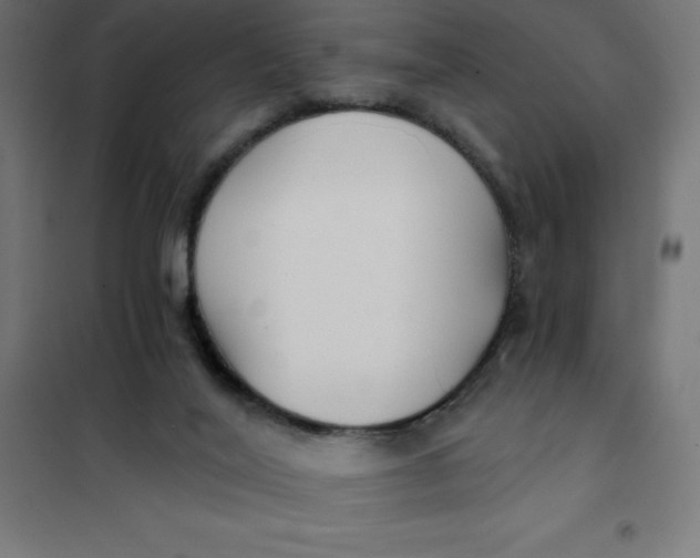 X0000101410020200807281036
