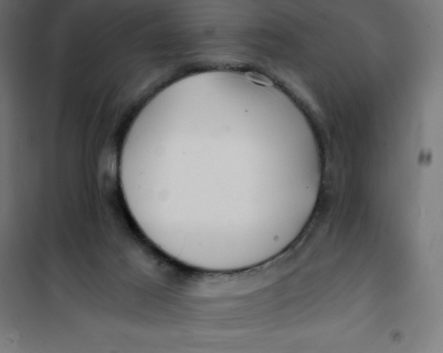 X0000101410021200807281036