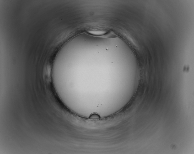 X0000101410022200807281036