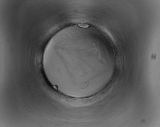 X0000101410023200807281036