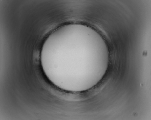 X0000101410024200807281036