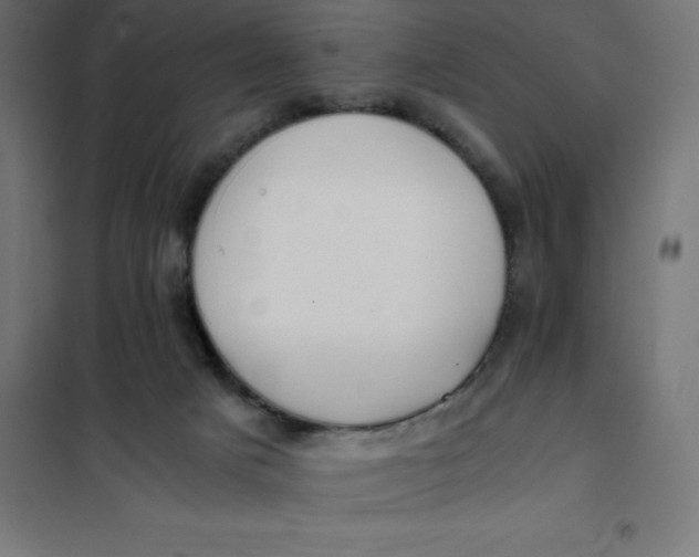 X0000101410025200807281036