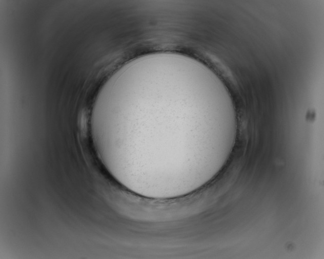 X0000101410026200807281036