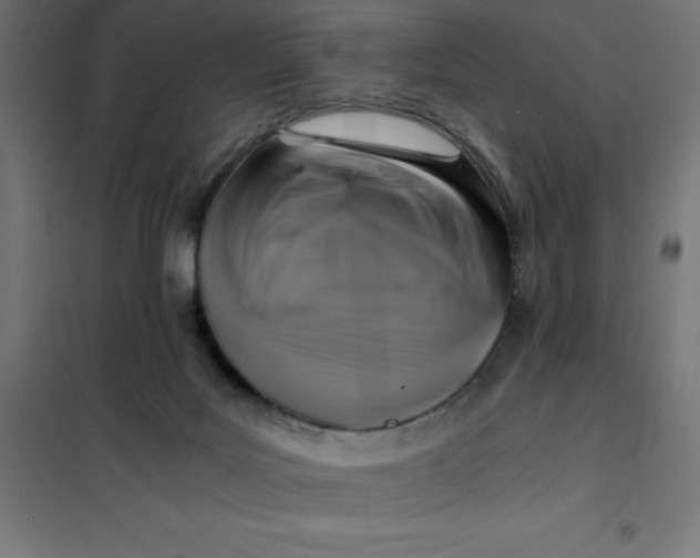 X0000101410027200807281036