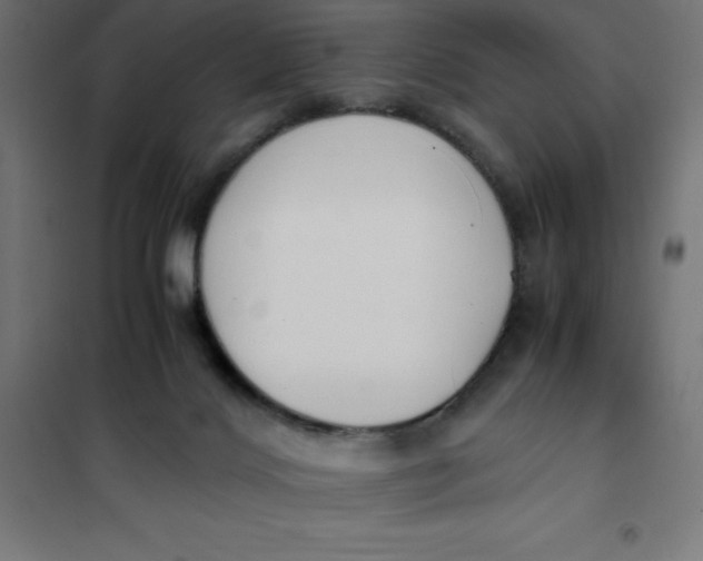 X0000101410028200807281036