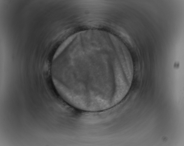 X0000101410029200807281036