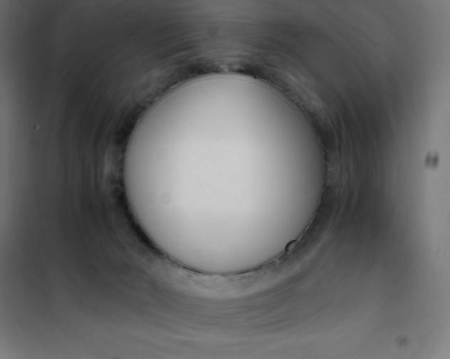 X0000101410030200807281036