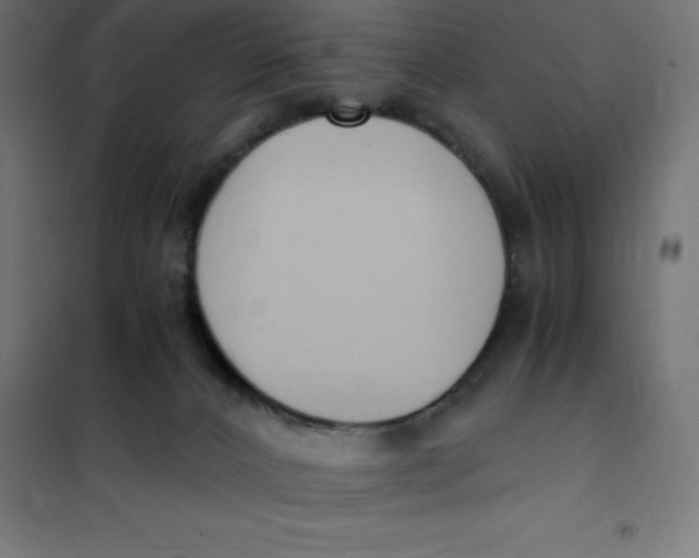 X0000101410032200807281036