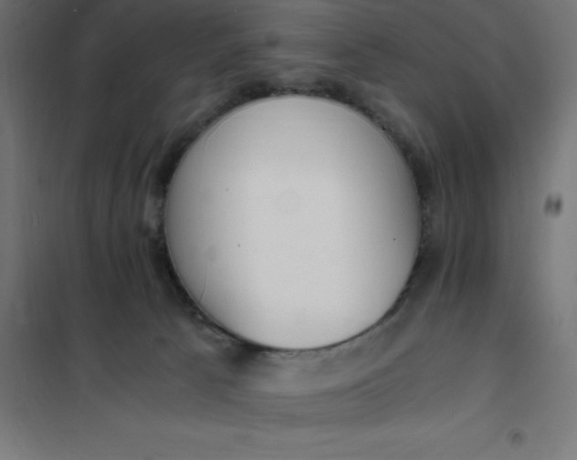 X0000101410033200807281036