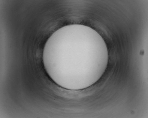 X0000101410034200807281036