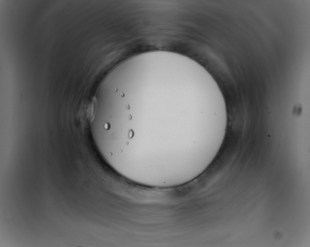 X0000101410036200807281036