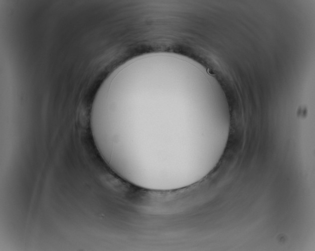 X0000101410037200807281036