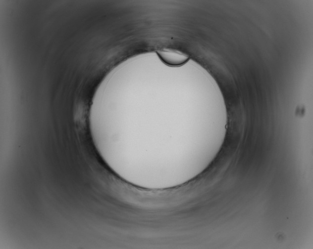 X0000101410038200807281036
